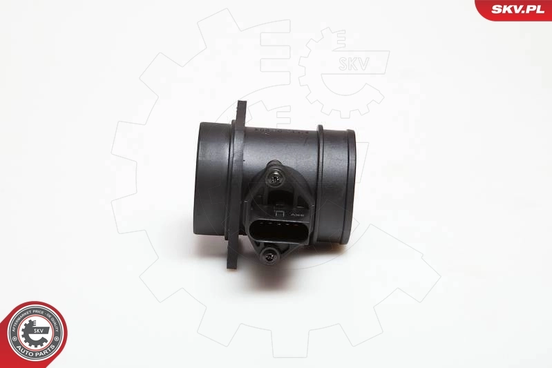 Mass Air Flow Sensor